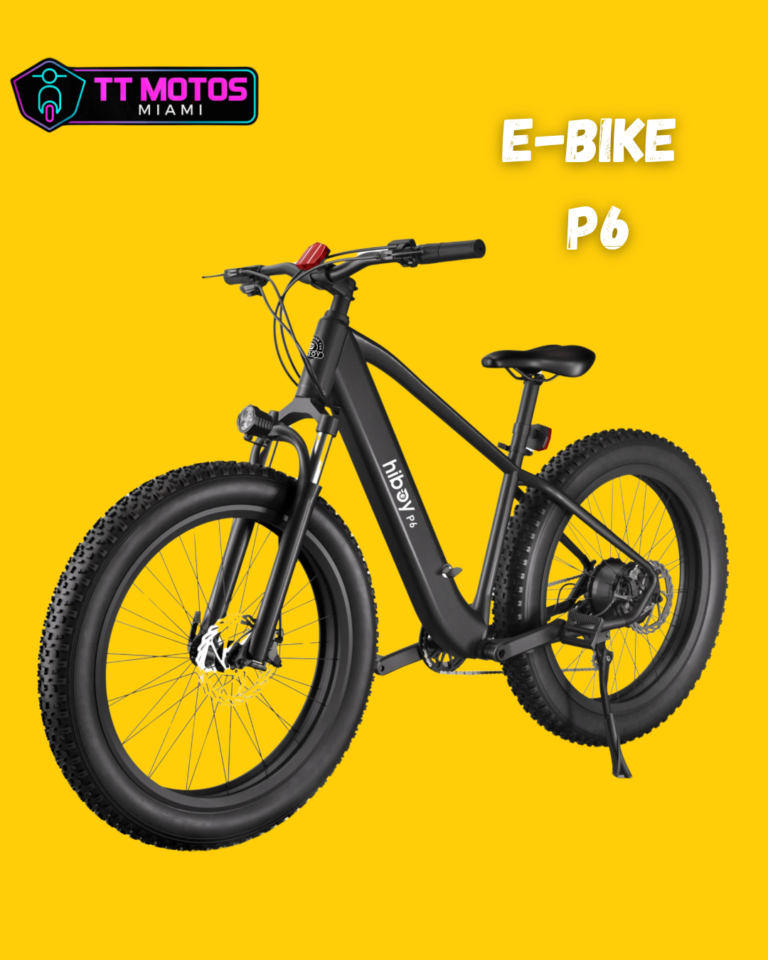 E-BIKE P6