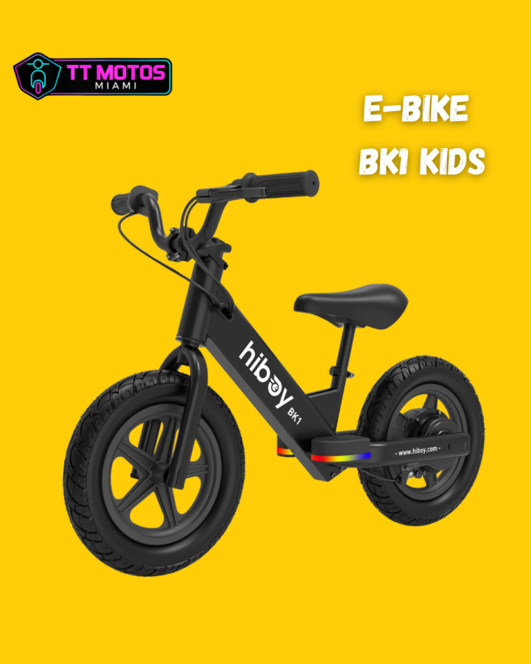 E-BIKE P6(1)
